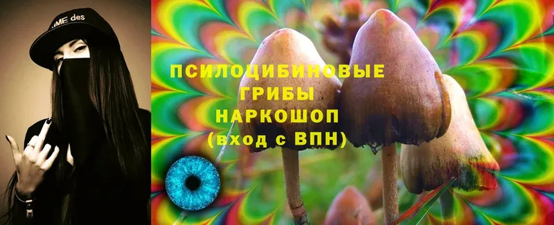 Псилоцибиновые грибы Magic Shrooms  Оленегорск 